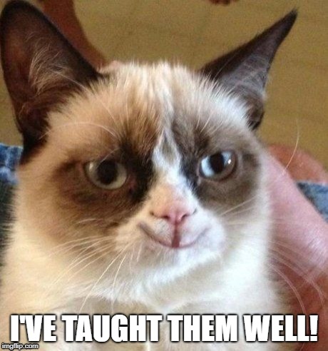 grumpy smile | I'VE TAUGHT THEM WELL! | image tagged in grumpy smile | made w/ Imgflip meme maker
