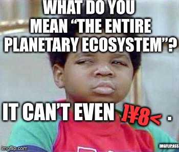 Whatchu Talkin' Bout, Willis? | WHAT DO YOU MEAN “THE ENTIRE PLANETARY ECOSYSTEM”? IT CAN’T EVEN              . ]¥8< IMGFLIP.ASS | image tagged in whatchu talkin' bout willis? | made w/ Imgflip meme maker