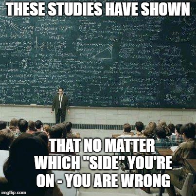 School | THESE STUDIES HAVE SHOWN; THAT NO MATTER WHICH "SIDE" YOU'RE ON - YOU ARE WRONG | image tagged in school,politics,studies show,you are wrong,us vs them | made w/ Imgflip meme maker