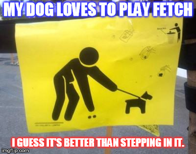 pick it up but don't step in it | MY DOG LOVES TO PLAY FETCH; I GUESS IT'S BETTER THAN STEPPING IN IT. | image tagged in pick it up but don't step in it | made w/ Imgflip meme maker