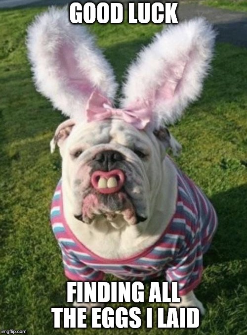 Best Bulldog Bunny | GOOD LUCK; FINDING ALL THE EGGS I LAID | image tagged in best bulldog bunny | made w/ Imgflip meme maker