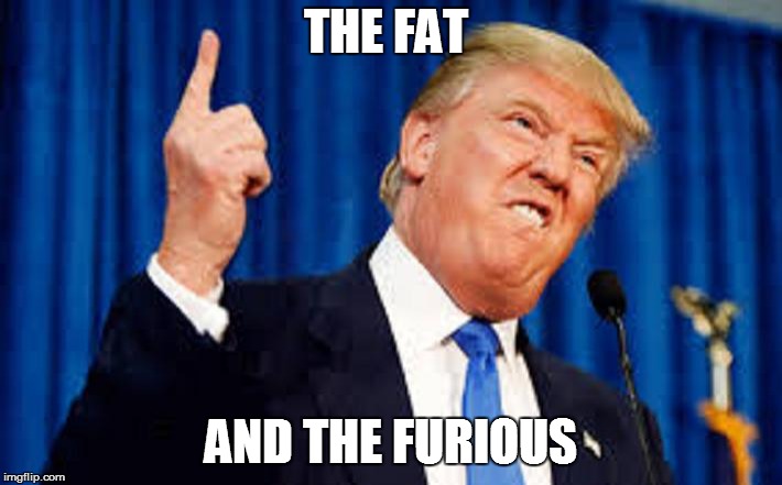 THE FAT; AND THE FURIOUS | image tagged in trump | made w/ Imgflip meme maker