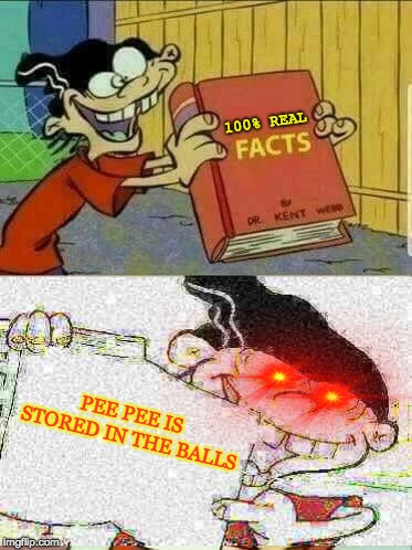 Double D's Facts Book | 100% REAL; PEE PEE IS STORED IN THE BALLS | image tagged in double d's facts book | made w/ Imgflip meme maker