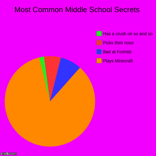 Most Common Middle School Secrets | Plays Minecraft, Bad at Fortnite, Picks their nose, Has a crush on so and so | image tagged in funny,pie charts | made w/ Imgflip chart maker