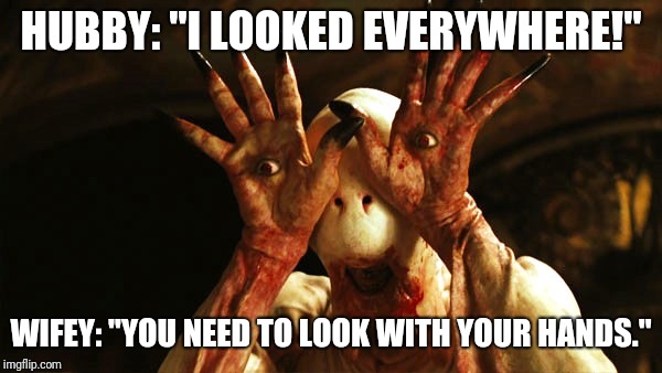 HUBBY: "I LOOKED EVERYWHERE!"; WIFEY: "YOU NEED TO LOOK WITH YOUR HANDS." | image tagged in look with your hands | made w/ Imgflip meme maker
