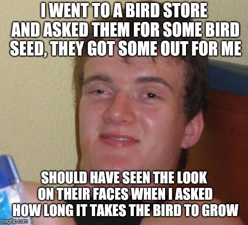Oh 10 Guy, never failing to entertain | I WENT TO A BIRD STORE AND ASKED THEM FOR SOME BIRD SEED, THEY GOT SOME OUT FOR ME; SHOULD HAVE SEEN THE LOOK ON THEIR FACES WHEN I ASKED HOW LONG IT TAKES THE BIRD TO GROW | image tagged in memes,10 guy,birds,seeds,ilikepie314159265358979 | made w/ Imgflip meme maker