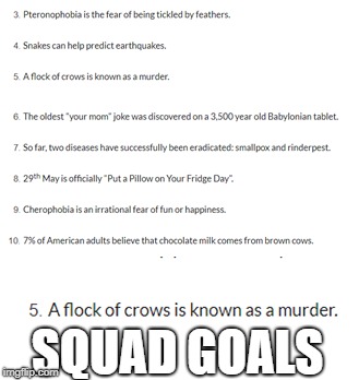 Squad Goals | SQUAD GOALS | image tagged in squad goals,animal | made w/ Imgflip meme maker