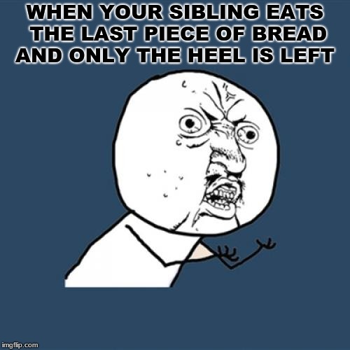 Y U No Meme | WHEN YOUR SIBLING EATS THE LAST PIECE OF BREAD AND ONLY THE HEEL IS LEFT | image tagged in memes,y u no | made w/ Imgflip meme maker