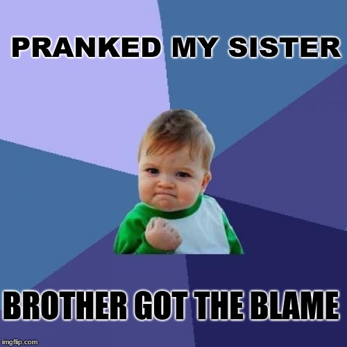 HIT TWO BIRDS WITH ONE STONE | PRANKED MY SISTER; BROTHER GOT THE BLAME | image tagged in memes,success kid | made w/ Imgflip meme maker