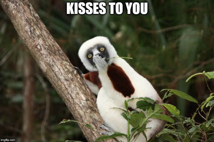 KISSES TO YOU | image tagged in kisses | made w/ Imgflip meme maker
