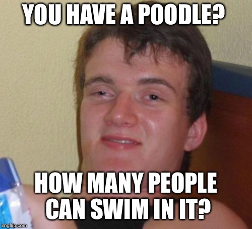 10 Guy | YOU HAVE A POODLE? HOW MANY PEOPLE CAN SWIM IN IT? | image tagged in memes,10 guy | made w/ Imgflip meme maker