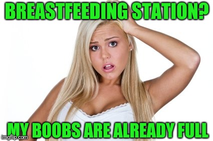 Dumb Blonde | BREASTFEEDING STATION? MY BOOBS ARE ALREADY FULL | image tagged in dumb blonde | made w/ Imgflip meme maker