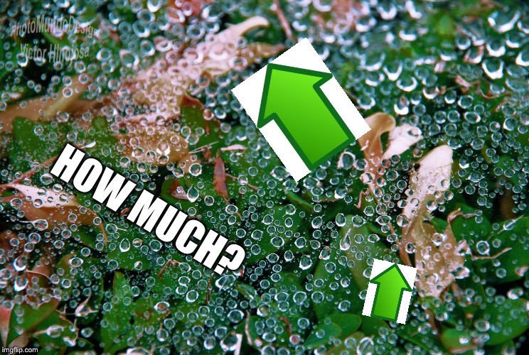 WaterDrops | HOW MUCH? | image tagged in waterdrops | made w/ Imgflip meme maker