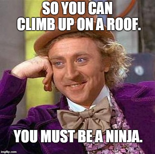 Creepy Condescending Wonka | SO YOU CAN CLIMB UP ON A ROOF. YOU MUST BE A NINJA. | image tagged in memes,creepy condescending wonka | made w/ Imgflip meme maker