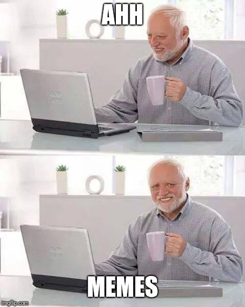 Hide the Pain Harold | AHH; MEMES | image tagged in memes,hide the pain harold | made w/ Imgflip meme maker