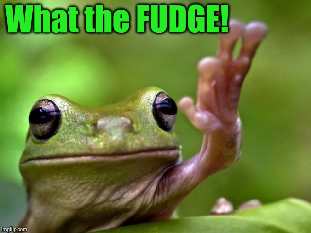 screw you | What the FUDGE! | image tagged in screw you | made w/ Imgflip meme maker