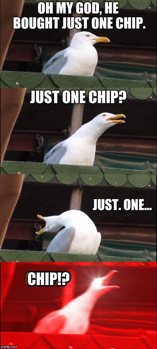 Inhaling Seagull | OH MY GOD, HE BOUGHT JUST ONE CHIP. JUST ONE CHIP? JUST. ONE... CHIP!? CHIP!? CHIP!? CHIP!? CHIP!? CHIP!? CHIP!? | image tagged in memes,inhaling seagull | made w/ Imgflip meme maker