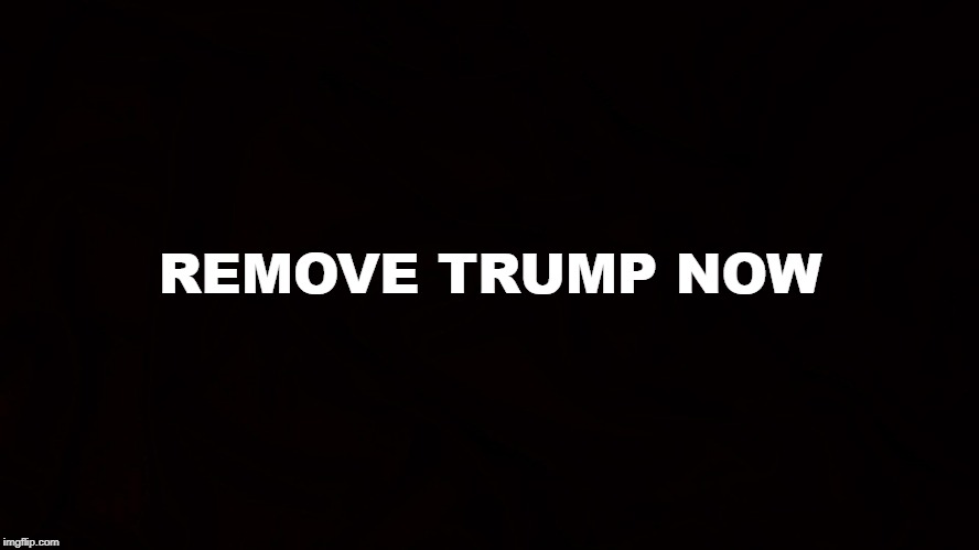 REMOVE TRUMP
NOW | image tagged in donald trump | made w/ Imgflip meme maker