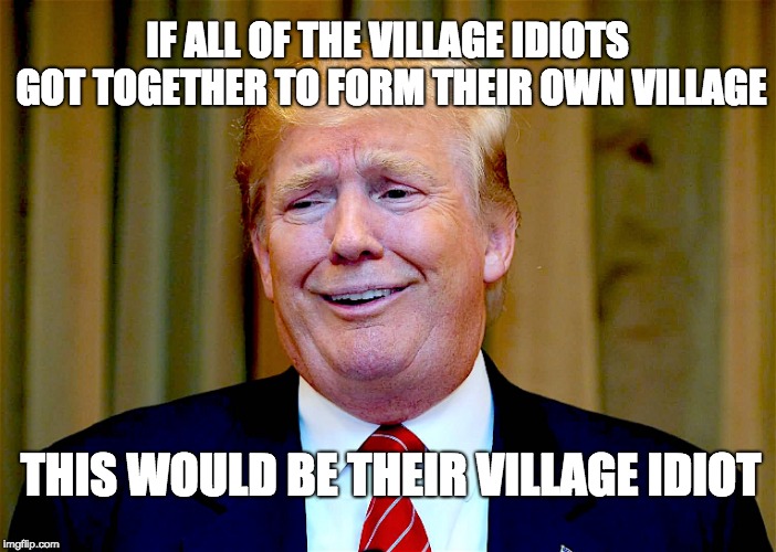 IF ALL OF THE VILLAGE IDIOTS GOT TOGETHER TO FORM THEIR OWN VILLAGE; THIS WOULD BE THEIR VILLAGE IDIOT | made w/ Imgflip meme maker