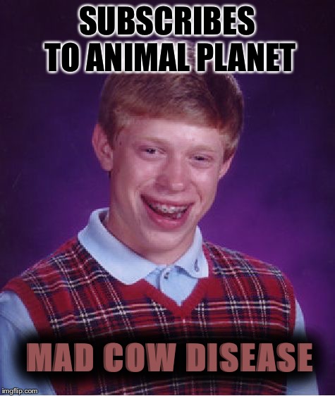 Bad Luck Brian Meme | SUBSCRIBES TO ANIMAL PLANET MAD COW DISEASE | image tagged in memes,bad luck brian | made w/ Imgflip meme maker