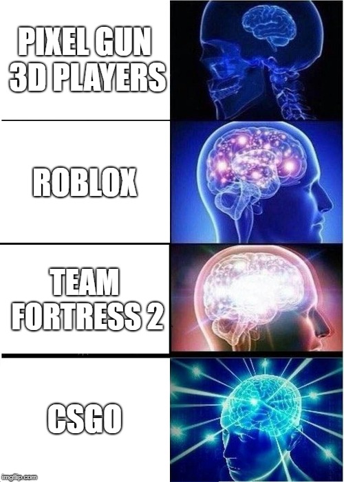 Expanding Brain | PIXEL GUN 3D PLAYERS; ROBLOX; TEAM FORTRESS 2; CSGO | image tagged in memes,expanding brain | made w/ Imgflip meme maker