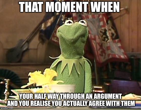 Annoyed Kermit | THAT MOMENT WHEN; YOUR HALF WAY THROUGH AN ARGUMENT AND YOU REALISE YOU ACTUALLY AGREE WITH THEM | image tagged in annoyed kermit | made w/ Imgflip meme maker