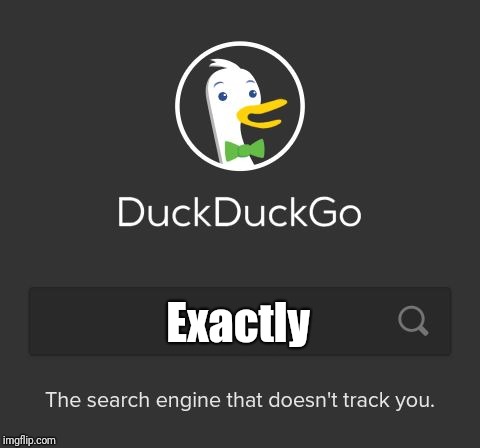 DuckDuckGo | Exactly | image tagged in duckduckgo | made w/ Imgflip meme maker