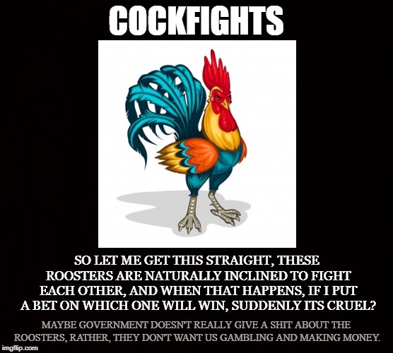 Rumble | COCKFIGHTS; SO LET ME GET THIS STRAIGHT, THESE ROOSTERS ARE NATURALLY INCLINED TO FIGHT EACH OTHER, AND WHEN THAT HAPPENS, IF I PUT A BET ON WHICH ONE WILL WIN, SUDDENLY ITS CRUEL? MAYBE GOVERNMENT DOESN'T REALLY GIVE A SHIT ABOUT THE ROOSTERS, RATHER, THEY DON'T WANT US GAMBLING AND MAKING MONEY. | image tagged in cockfight,gambling,money,bet,puerto rico,kentucky | made w/ Imgflip meme maker