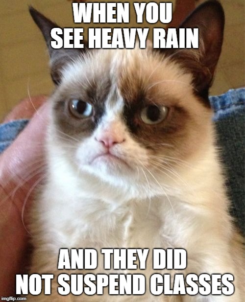 Grumpy Cat | WHEN YOU SEE HEAVY RAIN; AND THEY DID NOT SUSPEND CLASSES | image tagged in memes,grumpy cat | made w/ Imgflip meme maker