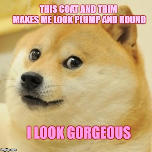 Optimistic Doge | THIS COAT AND TRIM MAKES ME LOOK PLUMP AND ROUND; I LOOK GORGEOUS | image tagged in memes,doge,optomism,optomistic doge,optimistic doge,optimism | made w/ Imgflip meme maker