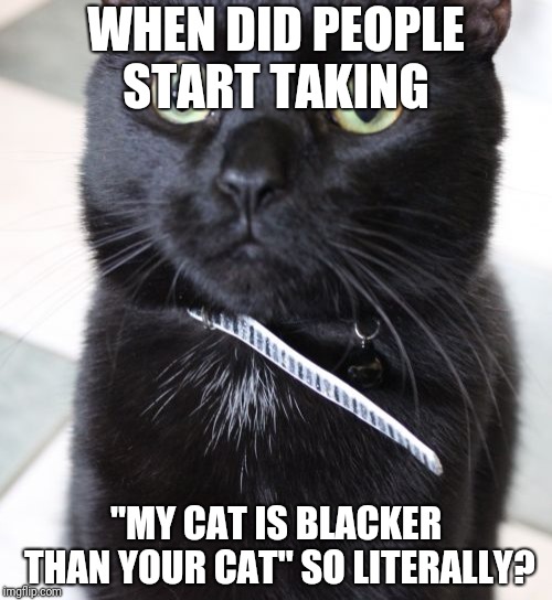 Privilege? | WHEN DID PEOPLE START TAKING; "MY CAT IS BLACKER THAN YOUR CAT" SO LITERALLY? | image tagged in memes,woah kitty | made w/ Imgflip meme maker