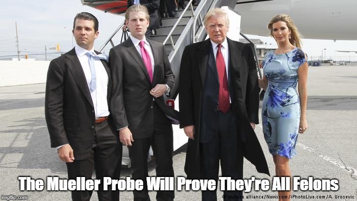 The Mueller Probe Will Prove They're All Felons | made w/ Imgflip meme maker