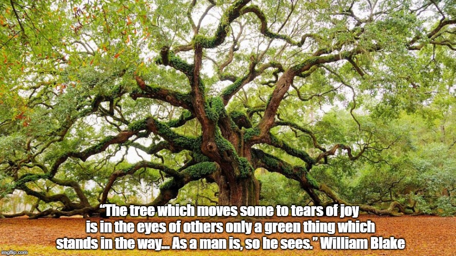 â€œThe tree which moves some to tears of joy is in the eyes of others only a green thing which stands in the wayâ€¦ As a man is, so he sees.â€ Wi | made w/ Imgflip meme maker