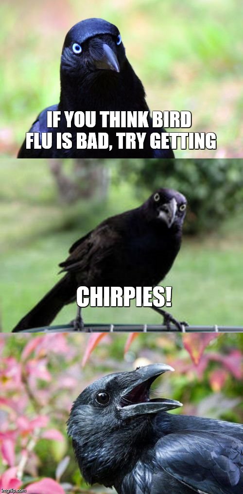 Bad Pun Crow |  IF YOU THINK BIRD FLU IS BAD, TRY GETTING; CHIRPIES! | image tagged in bad pun crow,bad puns,crow,birds | made w/ Imgflip meme maker