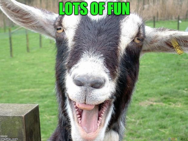 Funny Goat | LOTS OF FUN | image tagged in funny goat | made w/ Imgflip meme maker