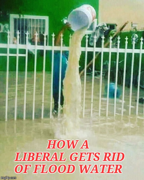 Liberals dealing with flooding | HOW A LIBERAL GETS RID OF FLOOD WATER | image tagged in liberals dealing with flooding | made w/ Imgflip meme maker