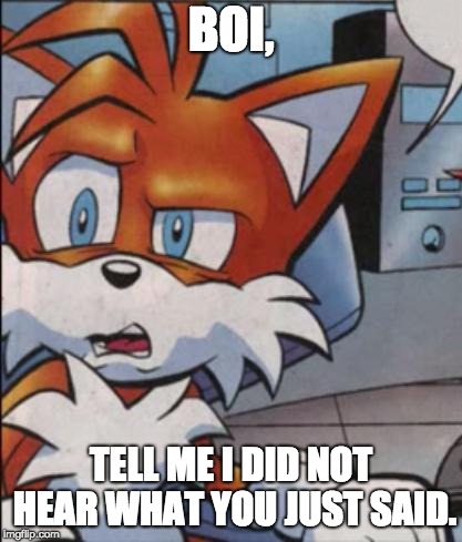 Tails WTF | BOI, TELL ME I DID NOT HEAR WHAT YOU JUST SAID. | image tagged in tails wtf | made w/ Imgflip meme maker