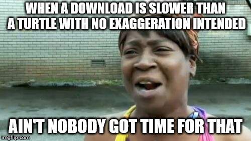 Hurry Up Downloads!! | WHEN A DOWNLOAD IS SLOWER THAN A TURTLE WITH NO EXAGGERATION INTENDED; AIN'T NOBODY GOT TIME FOR THAT | image tagged in memes,aint nobody got time for that | made w/ Imgflip meme maker