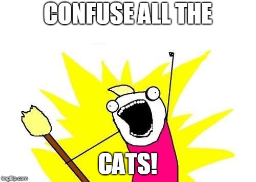 X All The Y Meme | CONFUSE ALL THE CATS! | image tagged in memes,x all the y | made w/ Imgflip meme maker