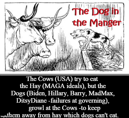 When Resistance Needs a Mirror to Reveal their Stupidity | The Cows (USA) try to eat the Hay (MAGA ideals), but the Dogs (Biden, Hillary, Barry, MadMax, DitsyDiane -failures at governing),   growl at the Cows -to keep them away from hay which dogs can't eat. | image tagged in vince vance,maga,aesop fable,the dog in the manger,political memes,the resistance | made w/ Imgflip meme maker
