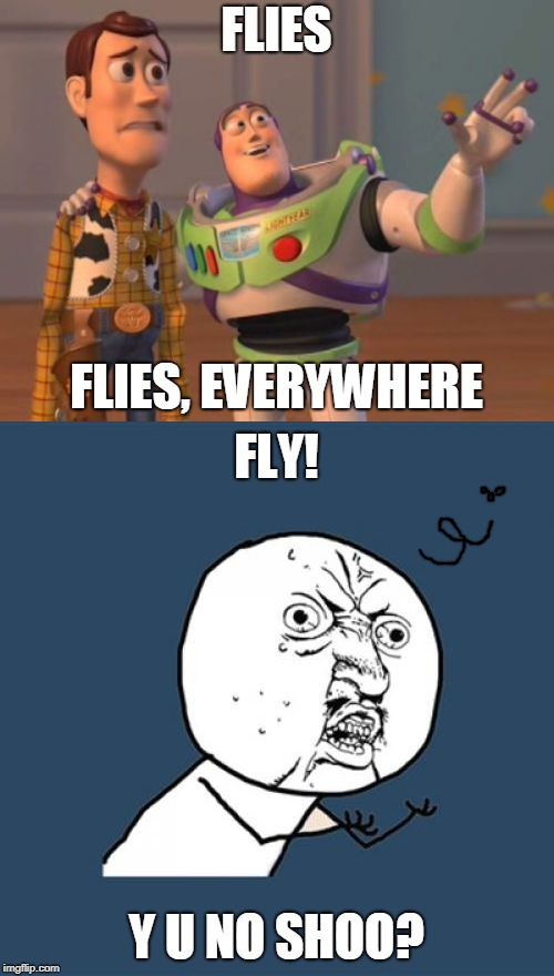 FLIES Y U NO SHOO? FLIES, EVERYWHERE FLY! | made w/ Imgflip meme maker