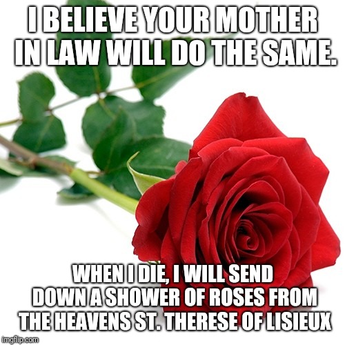 I BELIEVE YOUR MOTHER IN LAW WILL DO THE SAME. WHEN I DIE, I WILL SEND DOWN A SHOWER OF ROSES FROM THE HEAVENS ST. THERESE OF LISIEUX | image tagged in catholic,heaven,roses,flowers,holy spirit,mother | made w/ Imgflip meme maker
