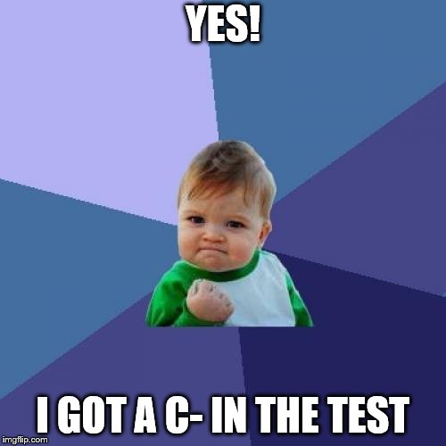 Success Kid Meme | YES! I GOT A C- IN THE TEST | image tagged in memes,success kid | made w/ Imgflip meme maker