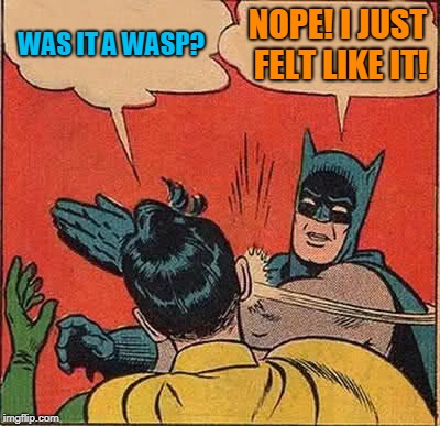 Batman Slapping Robin Meme | WAS IT A WASP? NOPE! I JUST FELT LIKE IT! | image tagged in memes,batman slapping robin | made w/ Imgflip meme maker