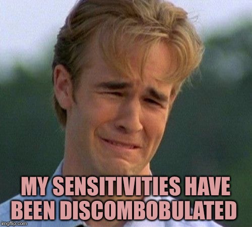 1990s First World Problems Meme | MY SENSITIVITIES HAVE BEEN DISCOMBOBULATED | image tagged in memes,1990s first world problems | made w/ Imgflip meme maker