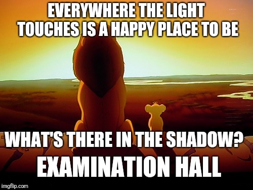 Lion King Meme | EVERYWHERE THE LIGHT TOUCHES IS A HAPPY PLACE TO BE; WHAT'S THERE IN THE SHADOW? EXAMINATION HALL | image tagged in memes,lion king | made w/ Imgflip meme maker