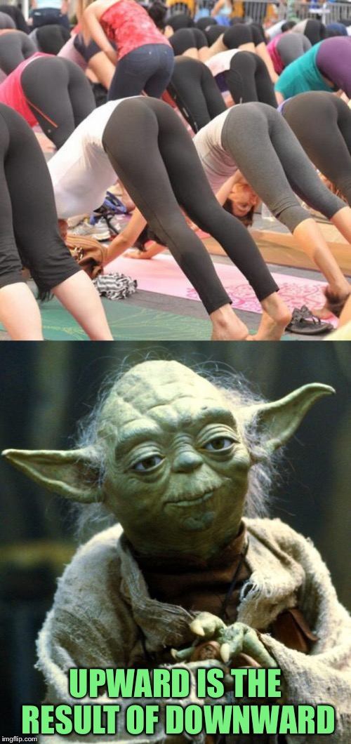 UPWARD IS THE RESULT OF DOWNWARD | image tagged in yoga | made w/ Imgflip meme maker