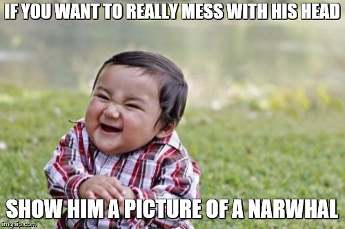 Evil Toddler Meme | IF YOU WANT TO REALLY MESS WITH HIS HEAD SHOW HIM A PICTURE OF A NARWHAL | image tagged in memes,evil toddler | made w/ Imgflip meme maker
