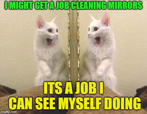 After much reflection... | I MIGHT GET A JOB CLEANING MIRRORS; ITS A JOB I CAN SEE MYSELF DOING | image tagged in mirror test,memes,funny | made w/ Imgflip meme maker