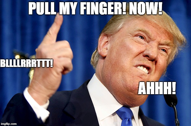 Donald Trump | PULL MY FINGER! NOW! BLLLLRRRTTT! AHHH! | image tagged in donald trump | made w/ Imgflip meme maker